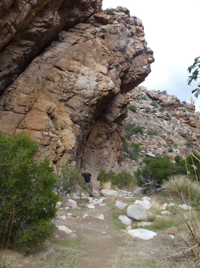 Quartzite formation on the Badskloof trail